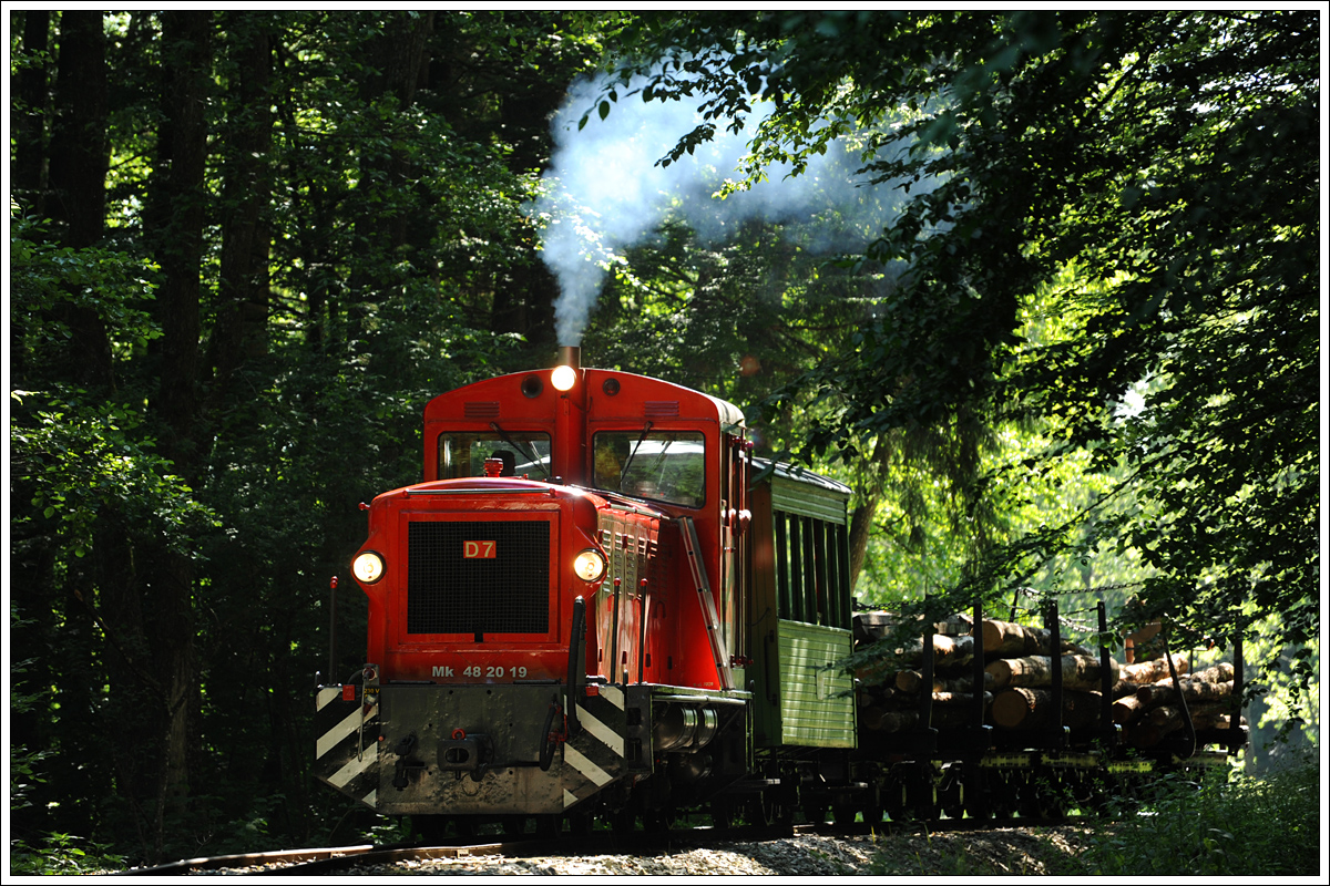 D7 (Mk 48.2019) mit einem Fotogüterzug auf der Stainzbahn im Wald zw. Wohlsdorf und Kraubath am 26.6.2015.
