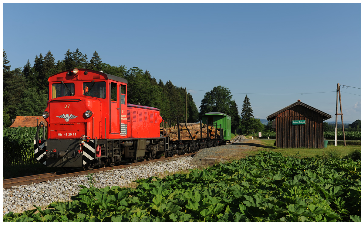 D7 (Mk 48.2019) mit einem Fotogüterzug von Stainz nach Preding in Wohlsdorf beim Fotohalt in Neudorf/Stainztal am 26.6.2015 aufgenommen.