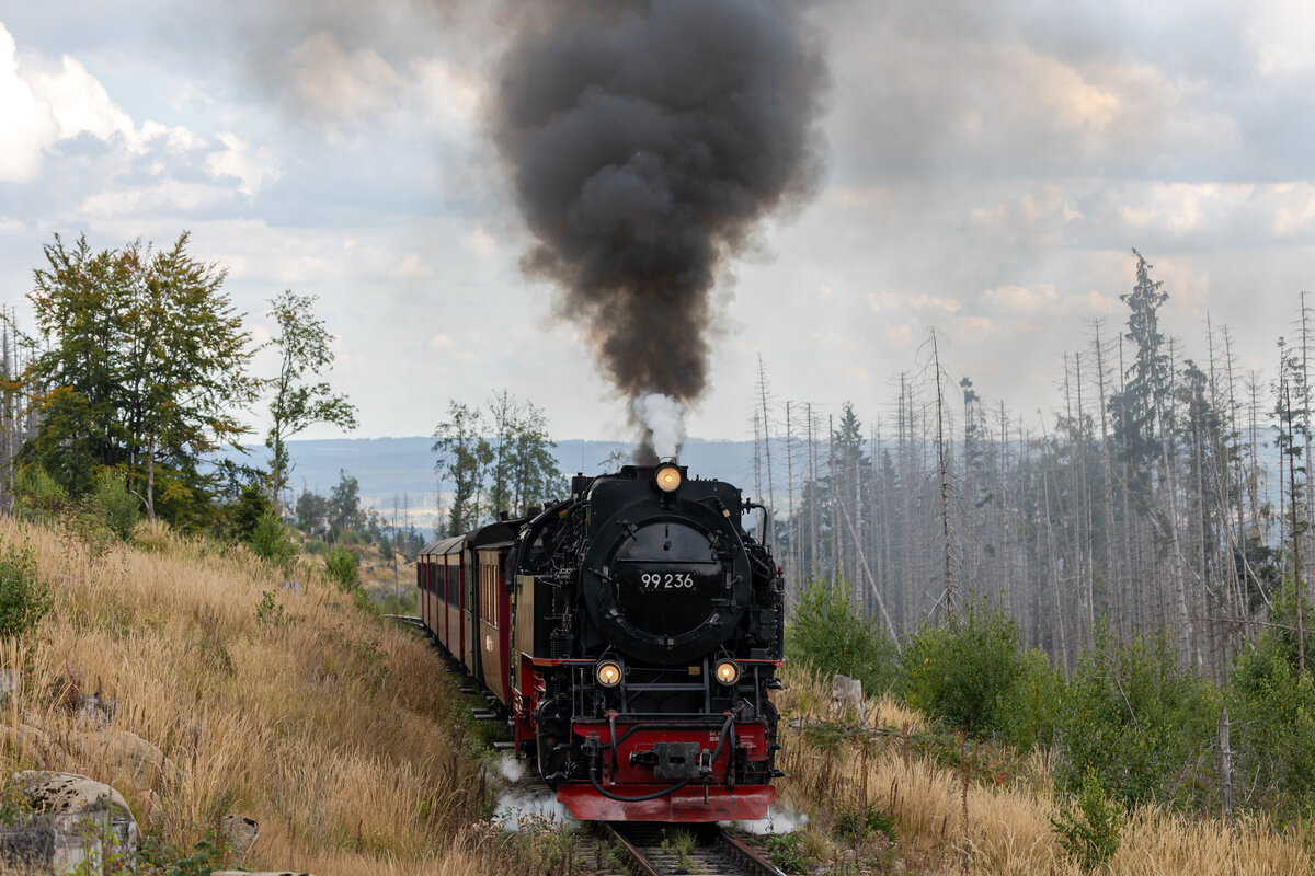 Da hat irgendjemand doch nochmal ein bisschen mehr Dampf gegeben, als ohnehin schon drin war: 99 236 auf dem Weg von Schierke zum Broken. Kurz hinter dem Personen BÜ berwärts von Schierke. 6.9.25