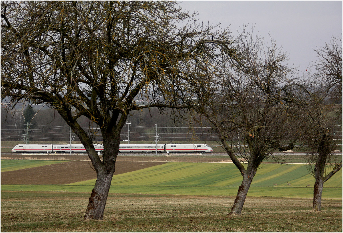 Da kommt einiges zusammen - 

... an glücklichen Zufällen.

Die Hoffnung hatte ich zwar einen ICE auf der Strecke zu erwischen, als ich mich auf den Weg an die Neubaustrecke Wendlingen - Ulm machte. Allerdings sah ich nur geringe Chancen, ich wusste nur dass die Testfahrten begonnen hatten. Wann und wie oft der ICE hier vorbeifährt wusste ich nicht. Auch musste ich dann ziemlich weit laufen um einen passenden Fotostandpunkt zu finden. Normalerweise passiert es dann, dass der Zug kommt, wenn man sich gerade an ungünstiger Stelle befindet oder einen guten Standort gerade verlassen hat. Dieser Standpunkt hat mir dann aufgrund dem weiten Blick auf die Strecke aber auch den Bäumen sehr gut gefallen. 

Nachdem ich hier meine Mittagsrast hinter mir hatte sprangen dann zunächst drei Rehe über die Felder und etwas später tauchte wirklich ein ICE aus Richtung Wendlingen auf. Ich fragte mich später ob ich die Rehe irgendwo auch mit auf einer Aufnahme habe und habe sie tatsächlich auf diesem Bild gefunden, rechts unten zwischen den Bäumen. 

Den ICE-S hatte ich schon bei der Herfahrt im Bahnhof Esslingen abgestellt gesehen. Im Nachhinein habe ich recherchiert, dass dieser am Vortag in Esslingen der Presse vorgestellt wurde um dann am Mittwoch 16.März mit seinen Messfahrten zu beginnen. Demnach habe ich auch seine erste Fahrt auf der Neubaustrecke fotografisch festhalten können.

Bei Kirchheim unter Teck, 16.03.2022 (M)