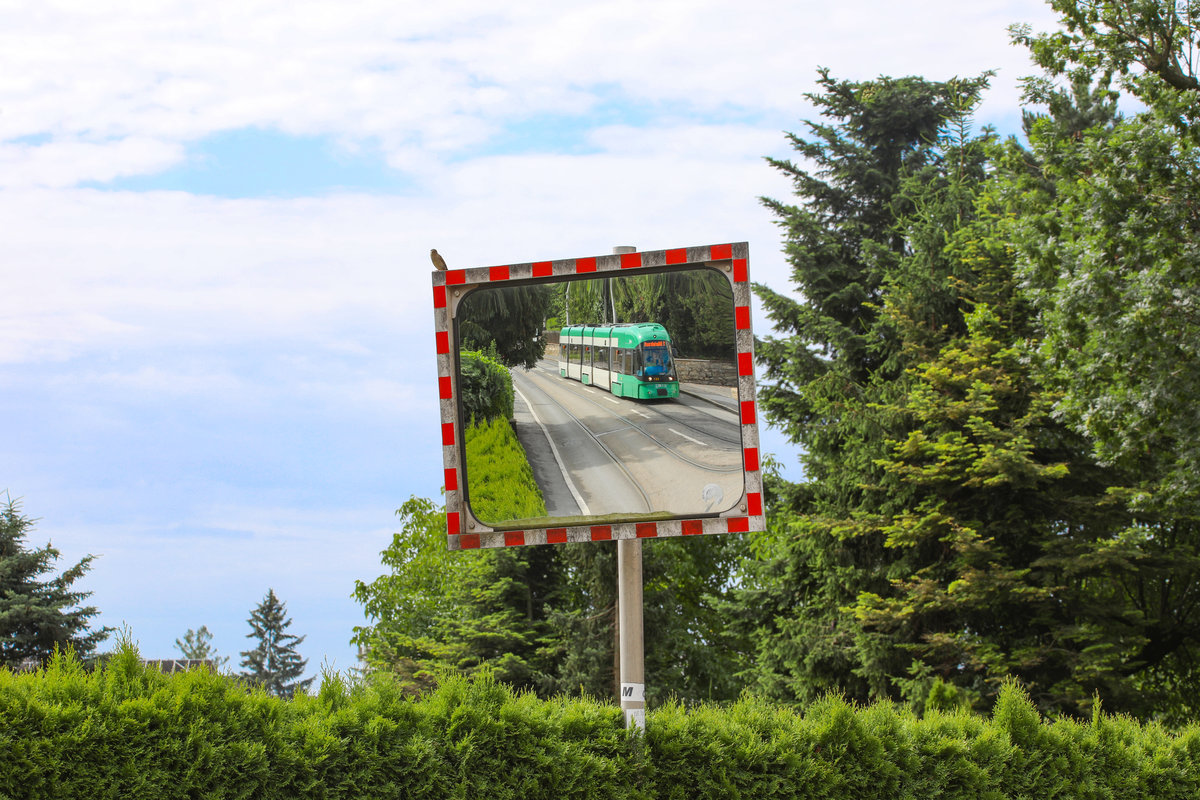 Da Pfeiffen die Spatzen vom Dach ,... aaa Spiegel 
9.06.2018 nächst UKH Graz 