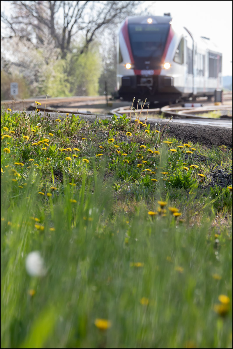 Da Realsolot ,..... 

Deutschlandsberg am 17.04.2020