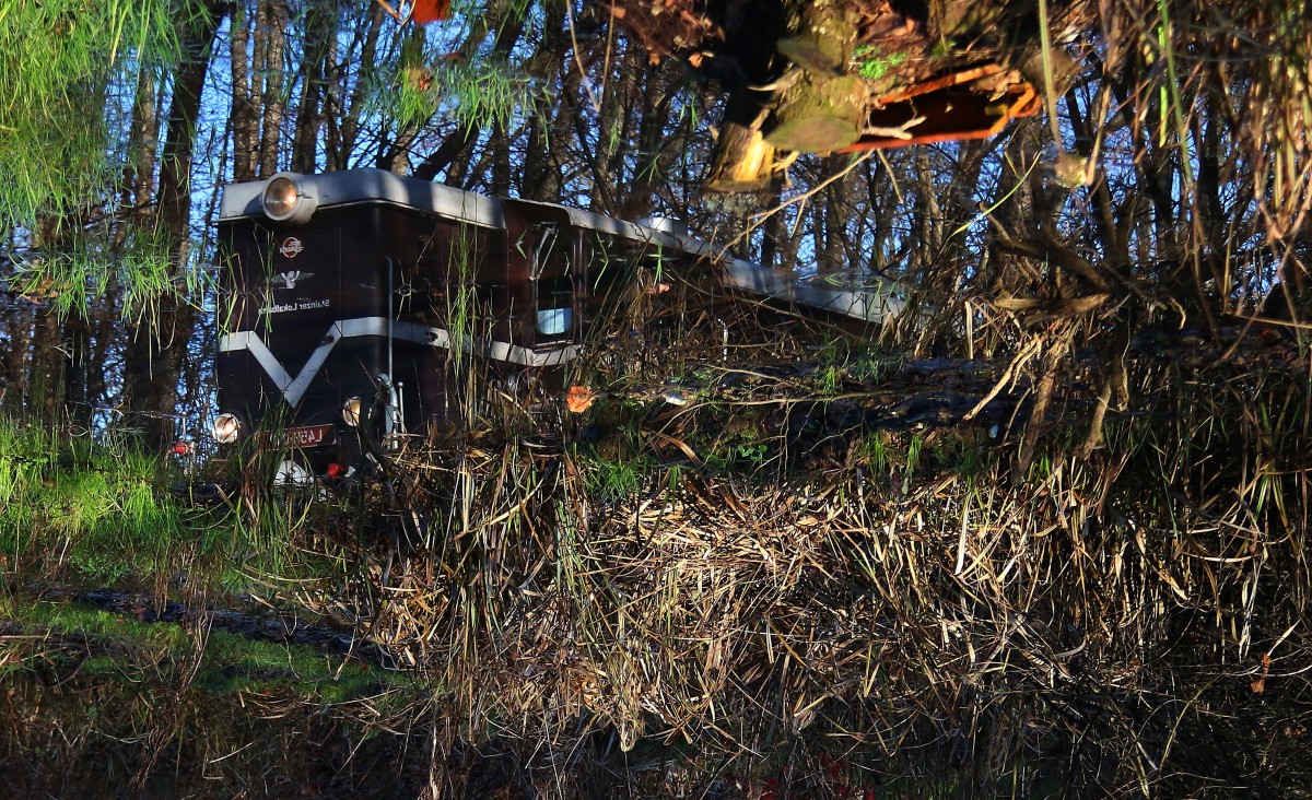 Da steht doch alles Kopf im Sumpf zwischen Kraubath in der Weststeiermark und Preding am 5.12.2015
