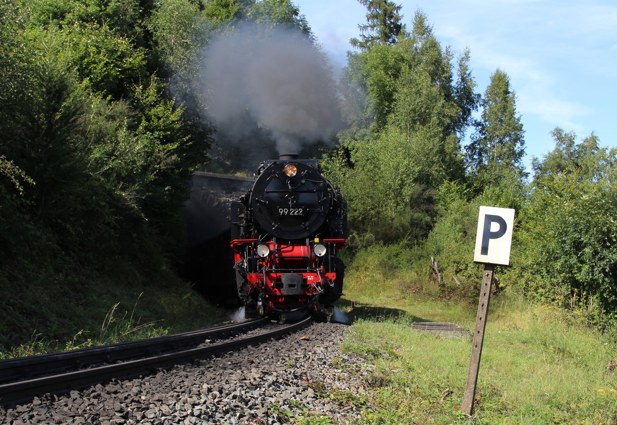 Da der Tunnel bei der Durchfahrt von P8937 (Wernigerode - Brocken) leider schon im Schatten lag, bin ich ein paar Schritte zurück gegangen, sodass ich 99 222 noch in der Sonne fotografieren konnte. Das Projekt Tunnel verschob ich also auf die kommenden Tage...

Thumkhulentunnel, 09. August 2017