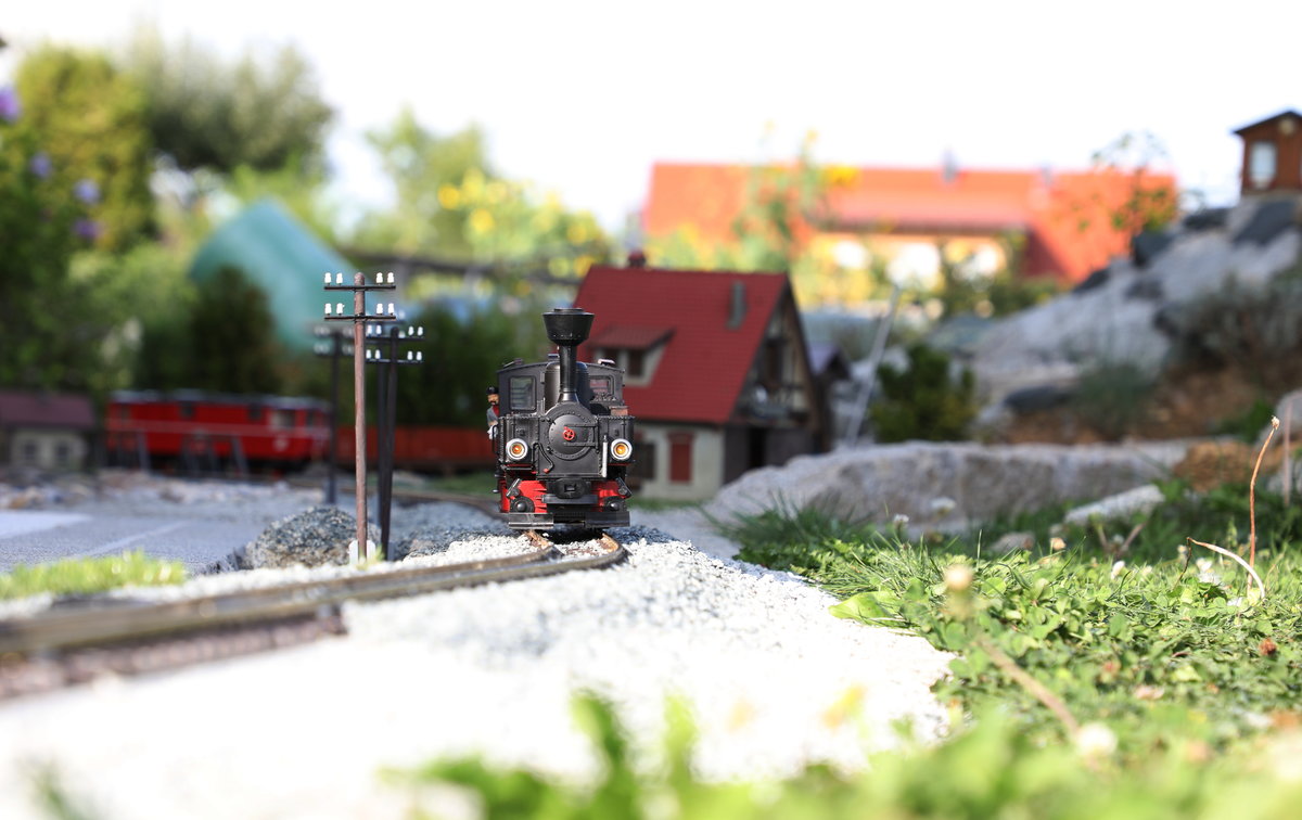 Da tut sich was im Garten ,....
298.02 und 2095.11 tösen durch die Minilandschaft.
27.08.2017
