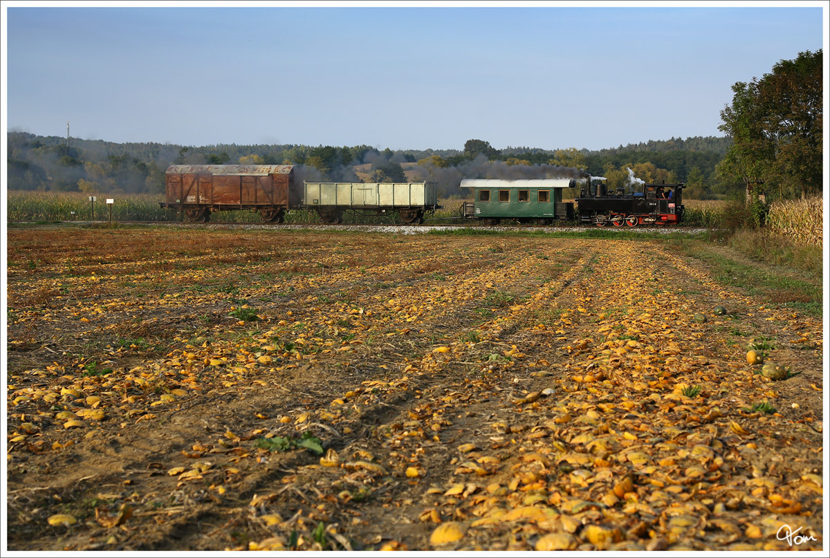 Dampflok 298.56 bei der Hinfahrt, mit dem aufgeschemelten Gterzug von Kraubath nach Stainz. 
Kraubath 25.09.2013