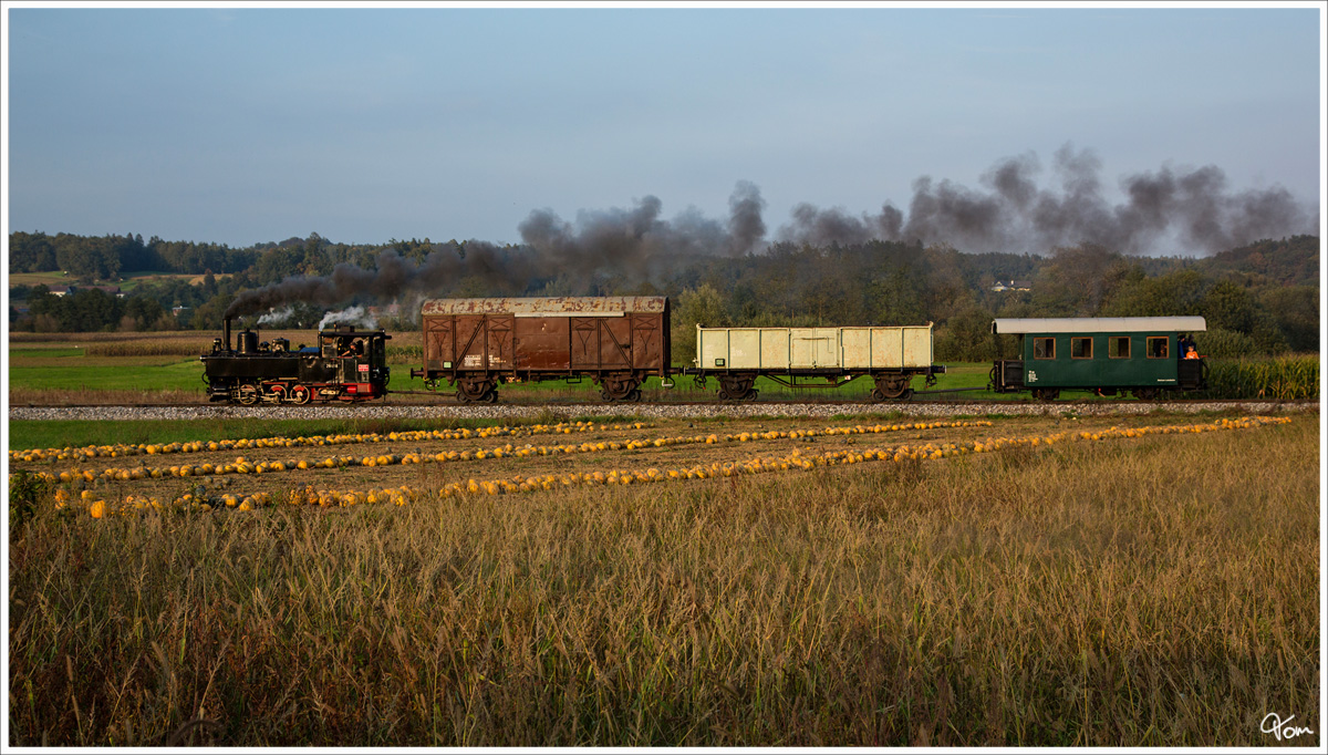 Dampflok 298.56 fhrt auf der Stainzerbahn, mit einem aufgeschemelten Gterzug  von Kraubath nach Stainz. Danke an die Organisatoren dieser tollen Fahrt :O) Kraubath 25_09_2013