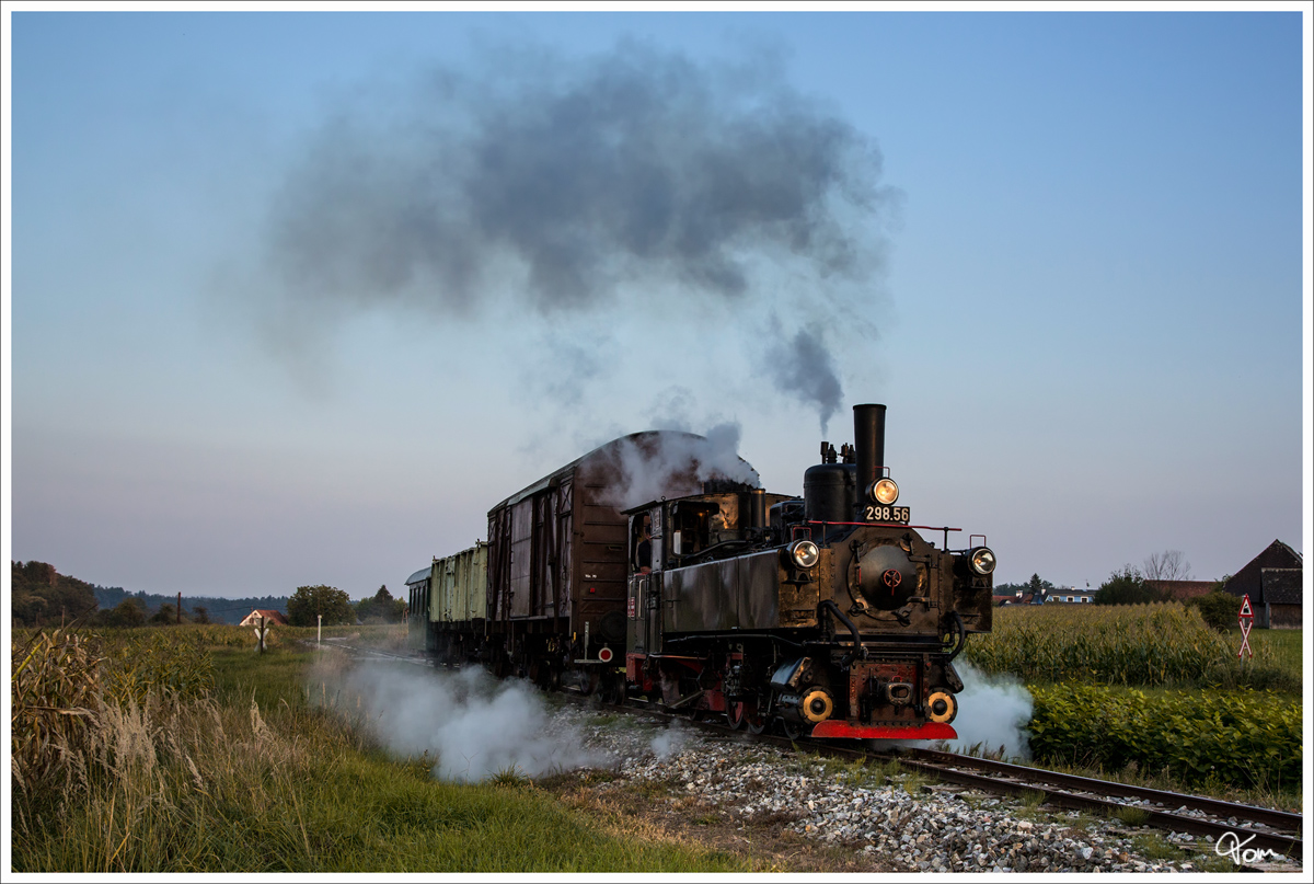 Dampflok 298.56 fhrt auf der Stainzerbahn, mit einem aufgeschemelten Gterzug von Kraubath nach Stainz. 
Herbersdorf 25.09.2013