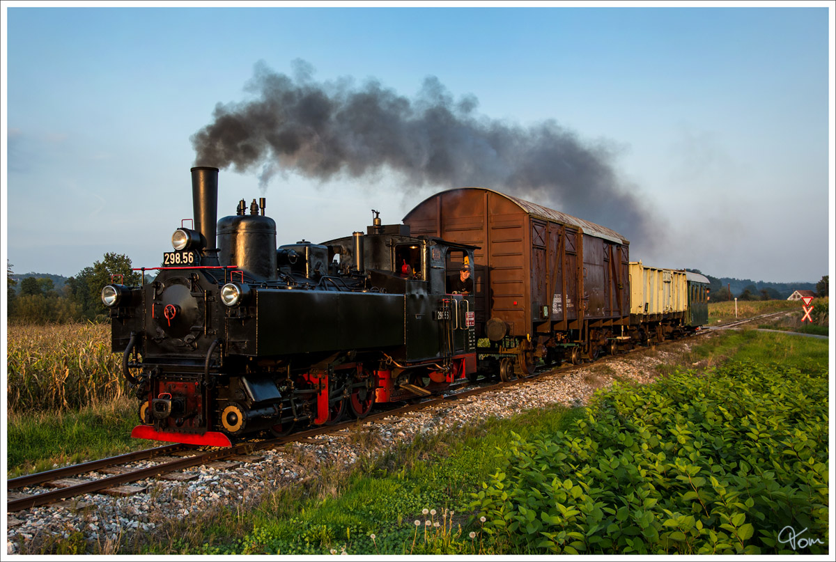 Dampflok 298.56 fhrt auf der Stainzerbahn, mit einem aufgeschemelten Gterzug von Kraubath nach Stainz. 
Herbersdorf 25.09.2013