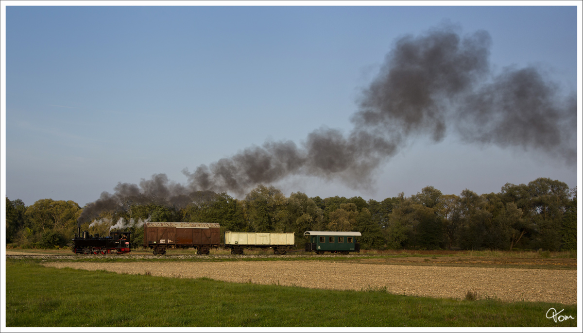 Dampflok 298.56 fhrt auf der Stainzerbahn, mit einem aufgeschemelten Gterzug von Kraubath nach Stainz. 
Kraubath 25.09.2013
