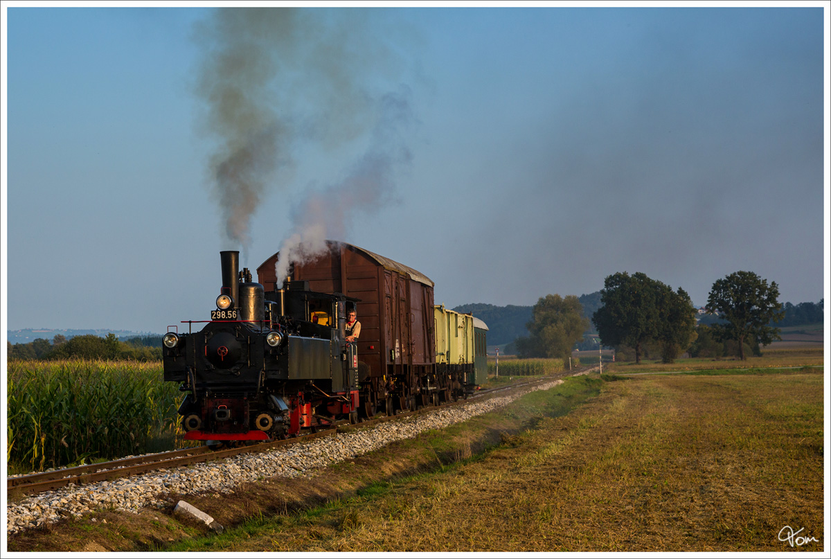 Dampflok 298.56 fhrt auf der Stainzerbahn, mit einem aufgeschemelten Gterzug von Kraubath nach Stainz. 
Neudorf bei Stainz 25.09.2013
