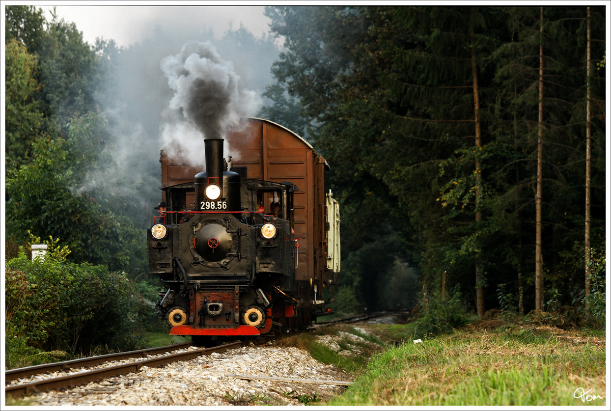 Dampflok 298.56 fährt auf der Stainzerbahn, mit einem aufgeschemelten Güterzug von Kraubath nach Stainz. 
Graschuh 25.09.2013