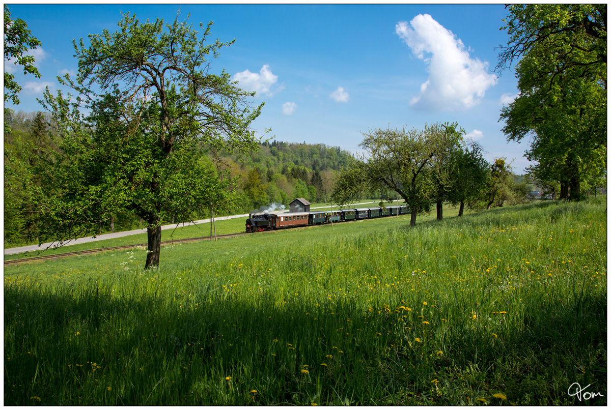 Dampflok 498.04 fährt auf der Steyrtalbahn mit dem  1. Mai Zug  von Steyr nach Grünburg. 
Aschach an der Steyr 01.05.2019