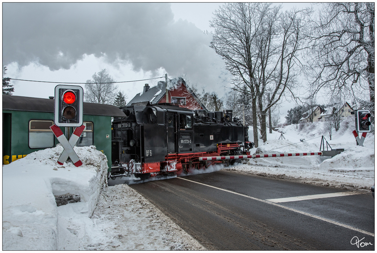 Dampflok 99 1773 der Fichtelbergbahn, auf der Fahrt von Cranzahl nach Kurort Oberwiesenthal.  Unterwiesenthal 01_02_2019