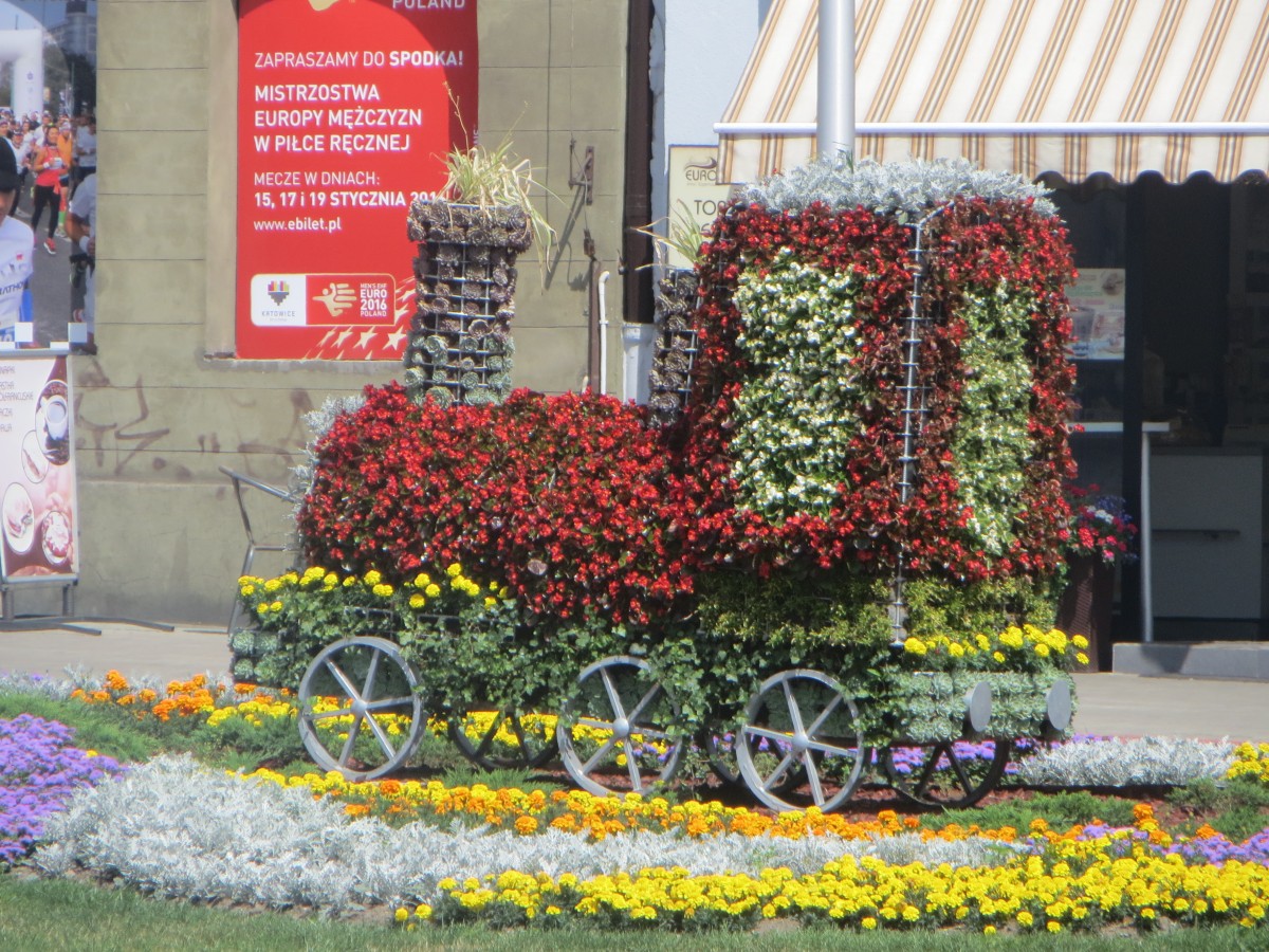 Dampflok aus Blumen als Zierde einer Verkehrsinsel in Kattowitz an der ul. Kosciuszki (Straßenecker der ehmaligen Sephien-, Beate-, Holtei- und Sachs-Straße) unweit vom Hauptbahnhof am 2. Juli 2015