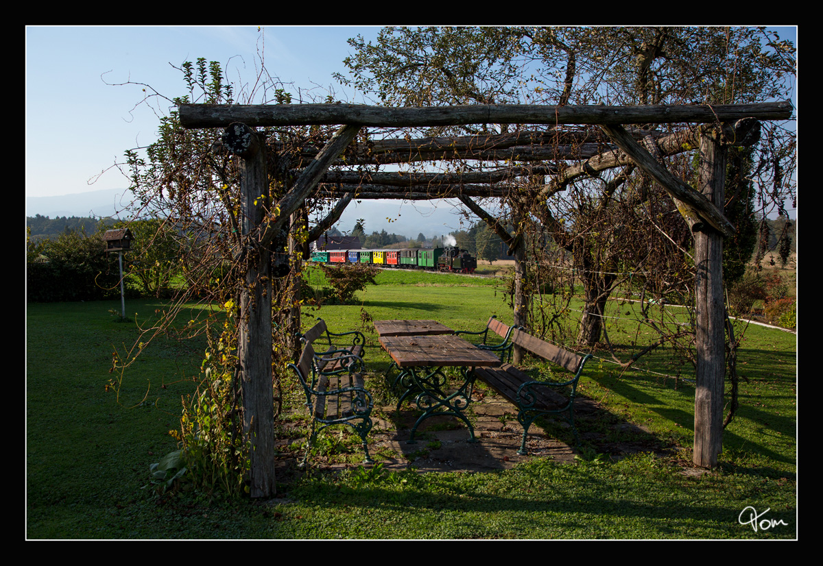 Dampflok CFF 764.411R der Stainzerbahn, fährt mit dem  Flascherlzug  von Stainz-Preding und Retour. 
Herbersdorf Ölmühle 12 10 2018