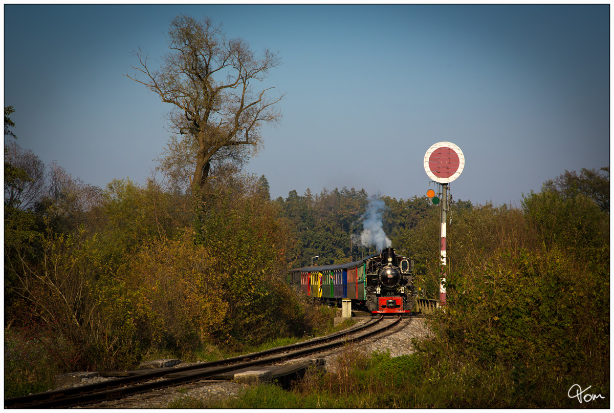 Dampflok CFF 764.411R der Stainzerbahn, fährt mit dem  Flascherlzug  von Stainz-Preding und Retour. 
Preding 12_10_2018