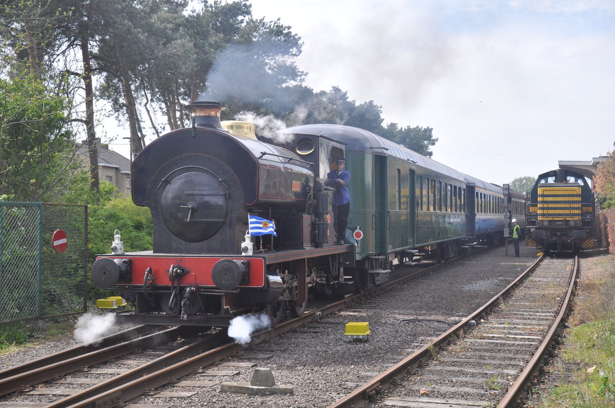 Dampflok Fred mit Zug Richtung Eeklo aufgenommen 30.04.2017 am Stationsstraat Maldegem 