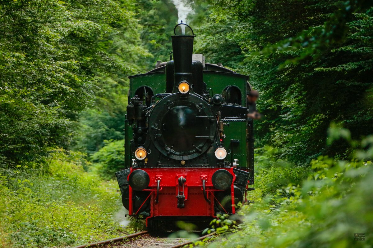 Dampflok Niedersachsen zu Gast bei der Hespertalbahn in Essen Kupferdreh, Juni 2025.