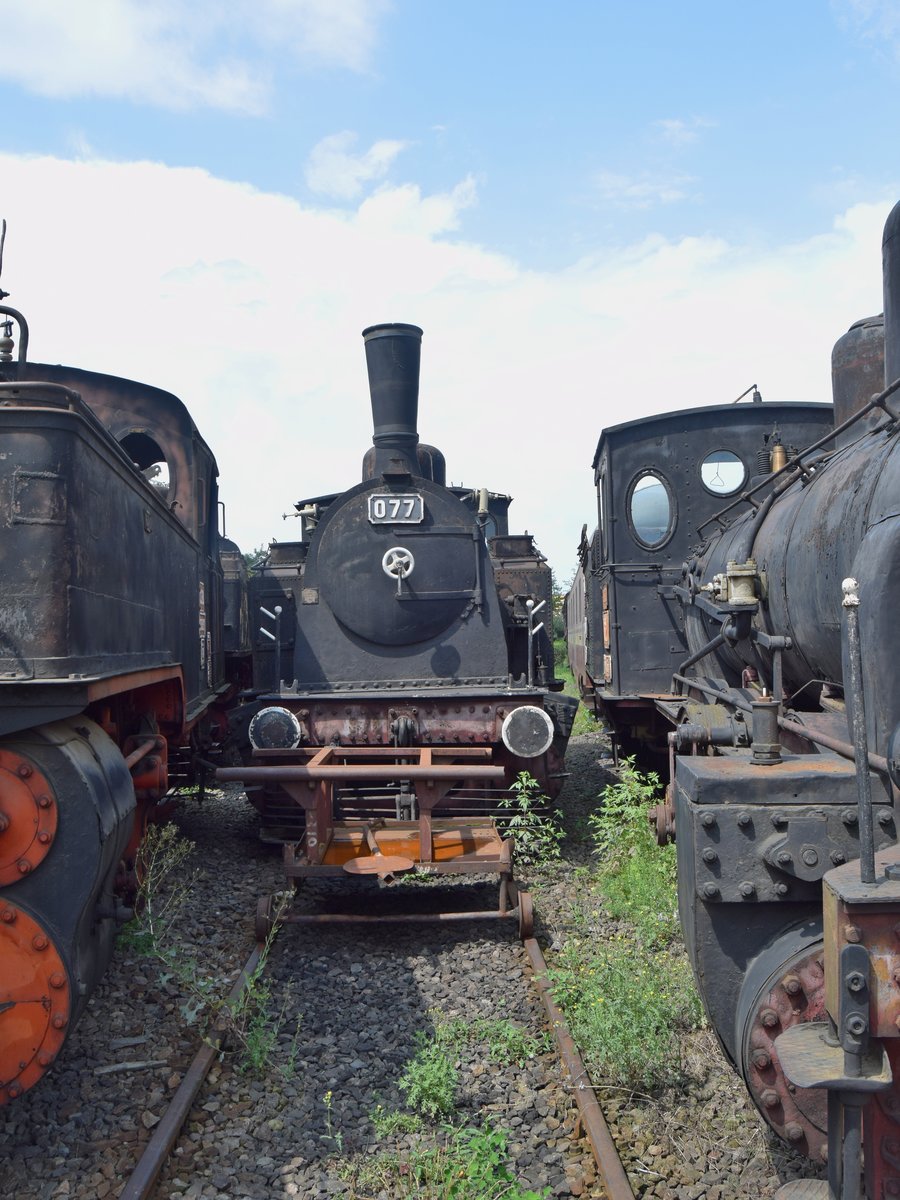 Dampflok Nr. 077 gequetscht von einer BR131 (links) und der Dampflok 320 im Bahnmuseum Sibiu. Aufnahme vom 29.07.2018.