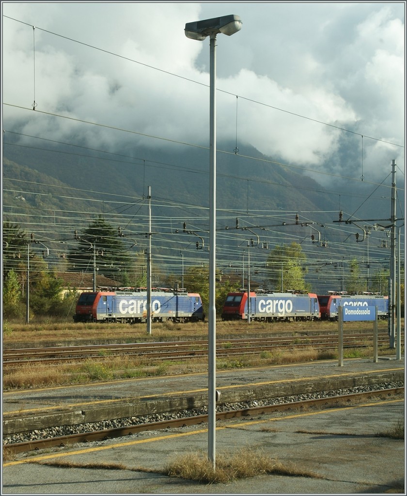 Dank dem zustzlichen Feiertag  geniessen  die drei SBB Cargo Loks (Re 474 und 484) in Domodossola schon ihr langes Wochenende.
31. Okt. 2013