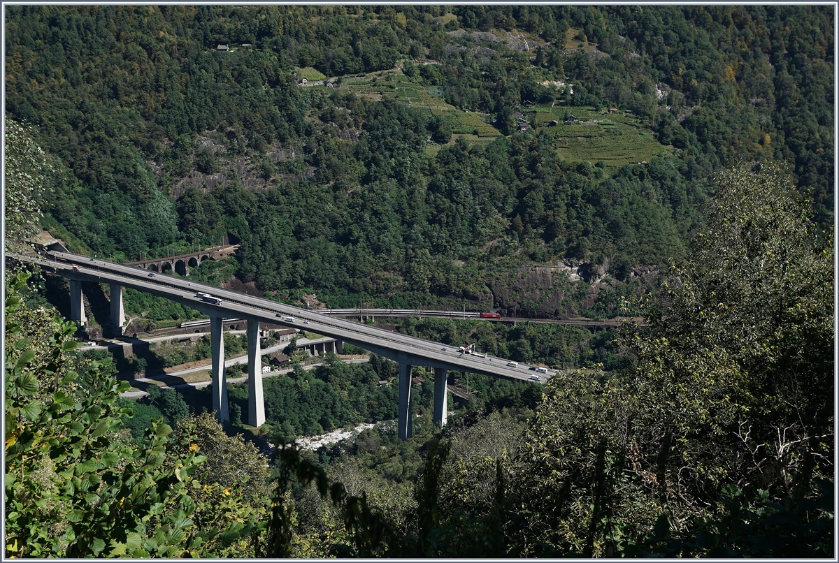 Dank der unübersehbaren Autobahnbrücke kaum zu sehen, mit welcher Genialität die Konstrukteure der Gotthardbahn vor über 100 Jahren die Strecke in die Landschaft gebettet haben: Biascina zwischen Lavorgo und Gironico, bei genauerem Hinschauen entdeckt man auch einen IR welcher eine Re 460 Richtung Locarno traktiert. 7. Sept. 2016 