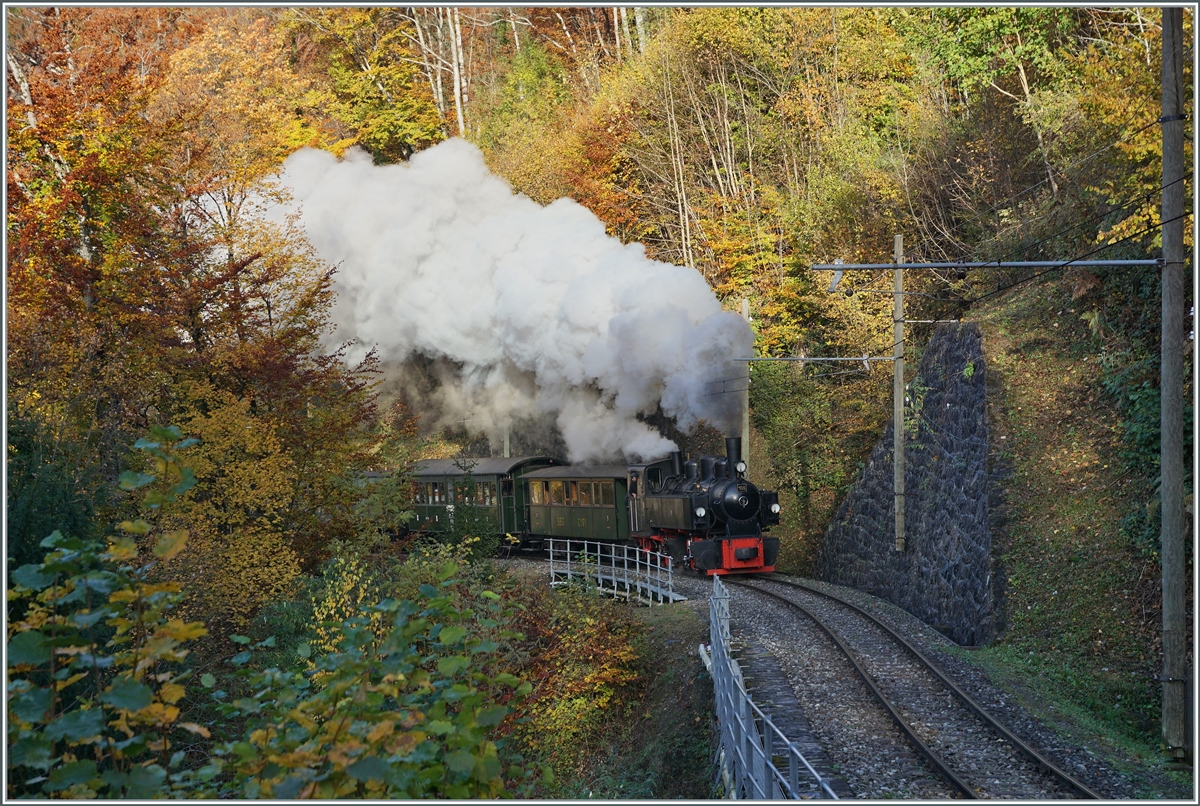 Das Baye de Clarens Viadukt ist sicherlich der Höhepunkt feiner Fahrt mit der Museumsbahn Blonay-Chamby, aber mir gefällt der darauf folgende Abschnitt in der Baye de Clarens Schlucht auch sehr gut. In der beträchtliche Steigung zeigen die Dampfloks auf eine eindrückliche Art, was in ihnen steckt: die G 2x 2/2 105 ist kurz nach Vers chez Robert mit ihrem Dampfzug auf der Fahrt nach Chamby.

31. Oktober 2021