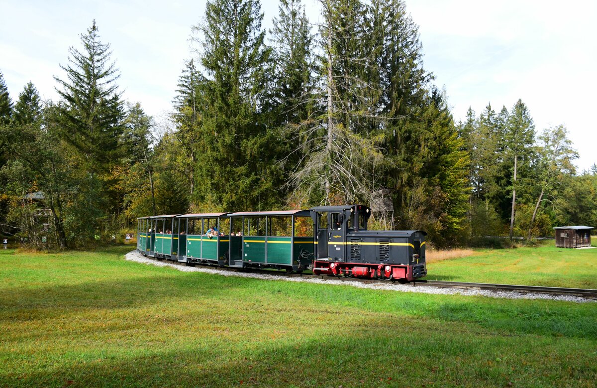 Das Bild zeigt einen der Züge mit der schwarzen Schöma Lokomotive Vf 3  Grossglockner  im Salzburger Freilichtmuseum. Großgmain, 29.10.2023.