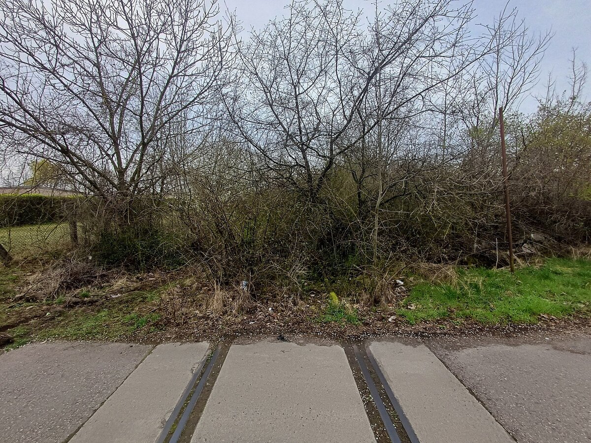 Das ehem. Gleis zur Tongrube am Roten Berg in Erfurt, am 21.03.2024. Hier zusehen am BÜ am  Mittelhäuser Tonweg mit Blick Richtung Erfurt Nord.