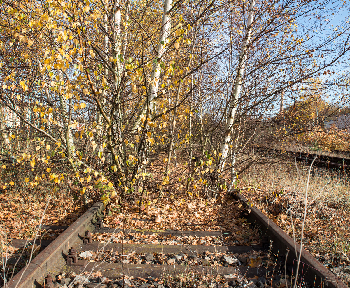 Das ehemalige Kohleentladegleis in Vacha wird seit Langem nicht mehr genutzt. Als die Einwohner noch mit Kohle heizten und die Fernwärme zu den einzelnen Haushalten noch nicht verbreitet war, sah dies anders aus. 