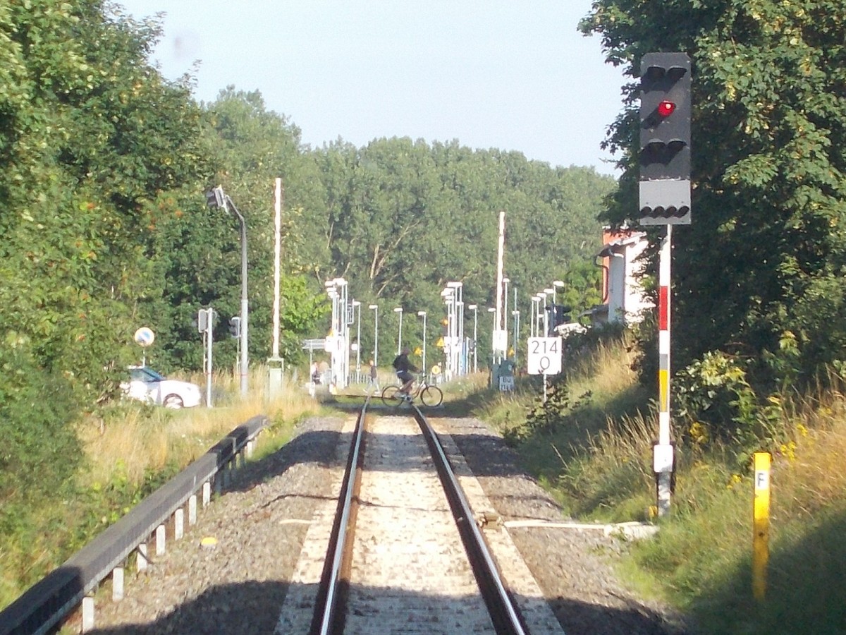 Das Einfahrsignal von Bansin Seebad,am 02.August 2015,aus dem Rückfenster fotografiert.