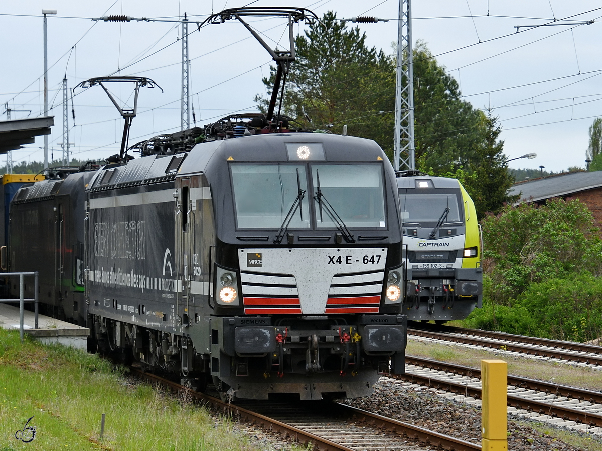 Das Elektrolokomotivgespann 193 647-5 (X4E-647) und 193 274-8, sowie die Hybridlokomotive 159 102-3 warten mit ihren Güterzügen auf die Weiterfahrt. (Neustrelitz, Mai 2021)