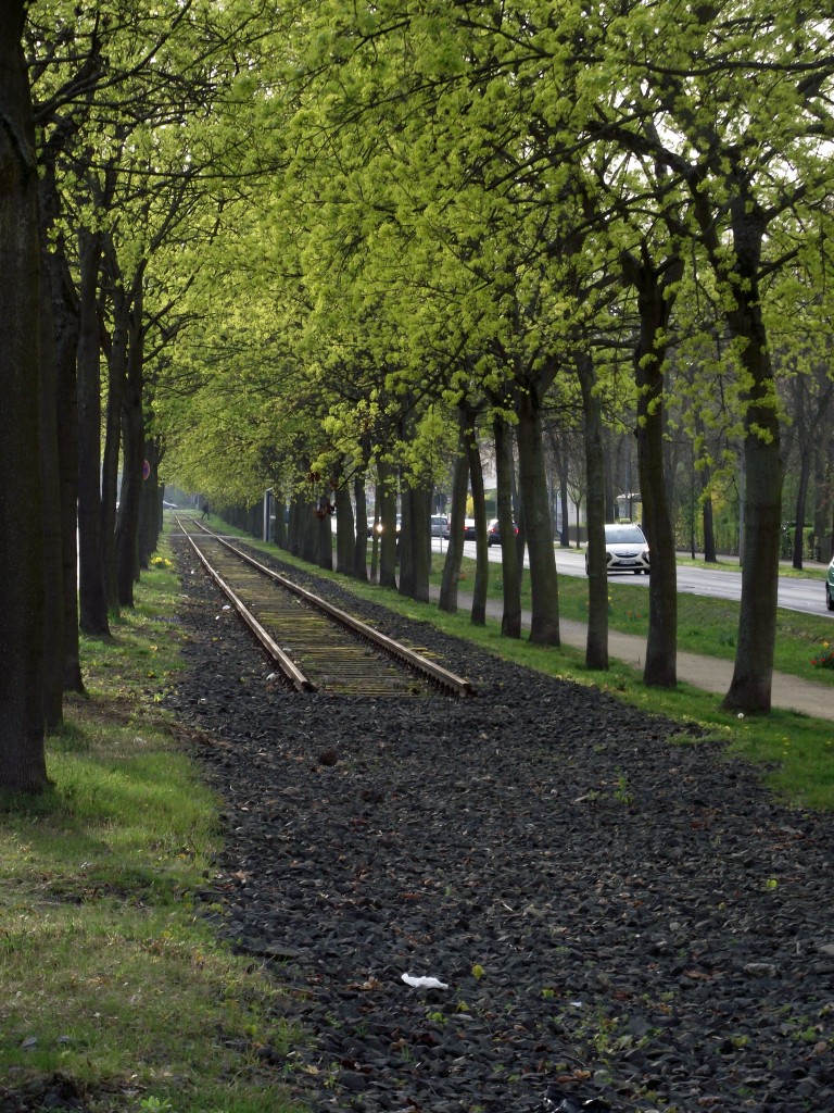 Das Gleisende in Neu-Isenburg wo ehemals die Güterzüge zum Gbf Neu Isenburg Stadt entlang gefahren sind. Dieses Foto wurde am 31.03.14 von einen Gehweg aus gemacht