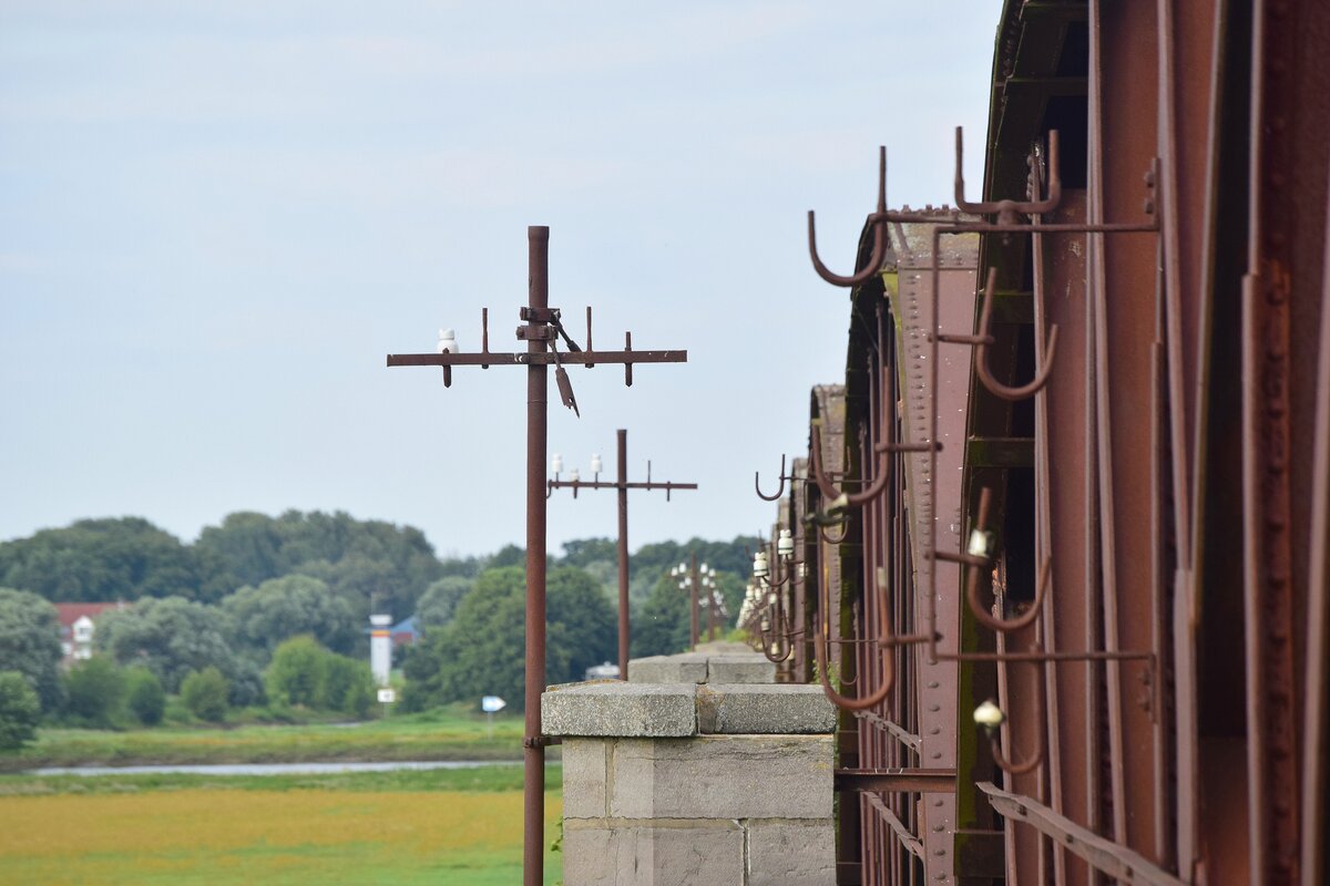 Das größte Bauwerk der Wendlandbahn ist die 985,6m lange Elbbrücke Dömitz aus dem Jahre 1870. Sie ging mit der Strecke damals in Betrieb. Man errichtete die Brücke direkt mit Maßnahmen um sie gegen Feindübernahme zu schützen. Unter anderem mit Wachtblockhäusern und 2 Strompfeiler wurden mit Demolierungsminen versehen. Die Brücke wurde für ursprünglich 2 Gleise gebaut. Da die Strecke gedoch nie überregionale Bedeutung gewann wurde der Verkehr nur über ein Gleis abgewickelt. Nach einem Luftangriff am 20. April 1945 stürzte der östliche Überbau vor der Drehbrücke ein. Da die Brücke die innerdeutsche Grenze überquerte unterblieb ein Wiederaufbau. Die Strecke Dömitz - Wittenburg wurde 1947 als Reperationsleistung an die Sovjetunion abgebaut. Der Abschnitt Dömitz - Ludwigslust verlor Mitte 2000 seinen Verkehr. Heute steht die Brücke unter Denkmalschutz und gehört einem Niederländischen Immobilienunternehmen welche die Brücke 2017 und 2018 sanieren lies.

Dömitz 30.07.2021