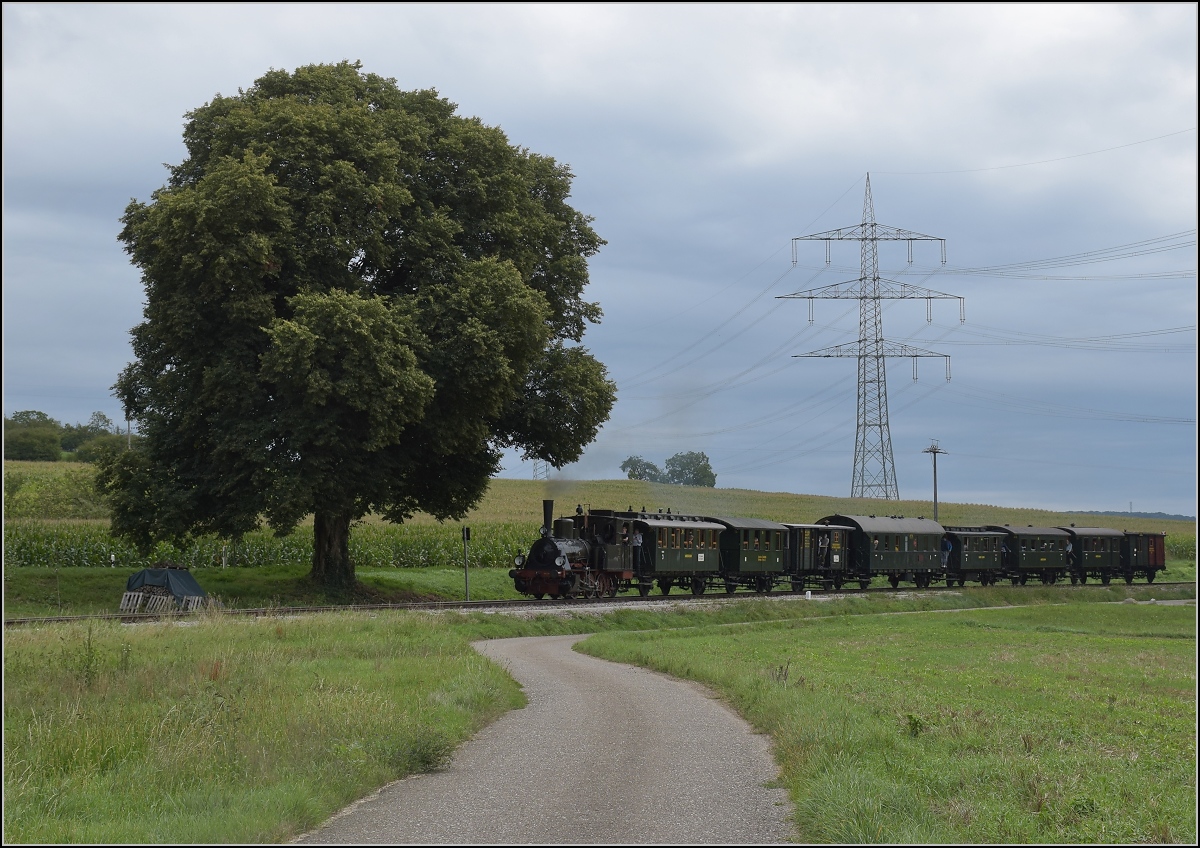 Das Kanderli und sein exquisiter Fuhrpark. 

Angeführt von Lok 30, einer preußischen T3 ursprünglich der Harmersbachtalbahn fährt der klassische Nebenbahnzug nach Kandern. Hammerstein, September 2020.