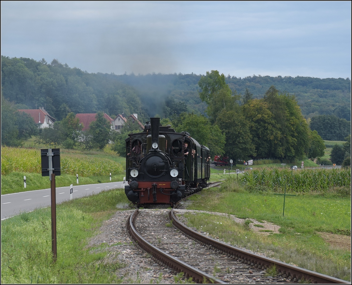 Das Kanderli und sein exquisiter Fuhrpark. 

Angeführt von Lok 30, einer preußischen T3 ursprünglich der Harmersbachtalbahn fährt der klassische Nebenbahnzug nach Kandern. Wollbach, September 2020.