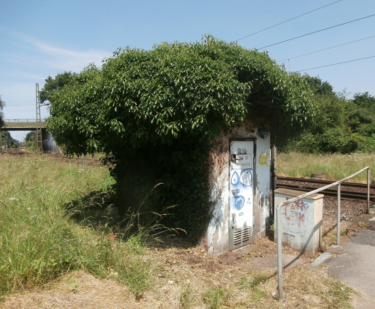 Das kleine Häuschen für den Bahnübergang hat durch einen Baum eine Frisur auf den Dach bekommen.

Meerbusch Osterath 08.06.2014