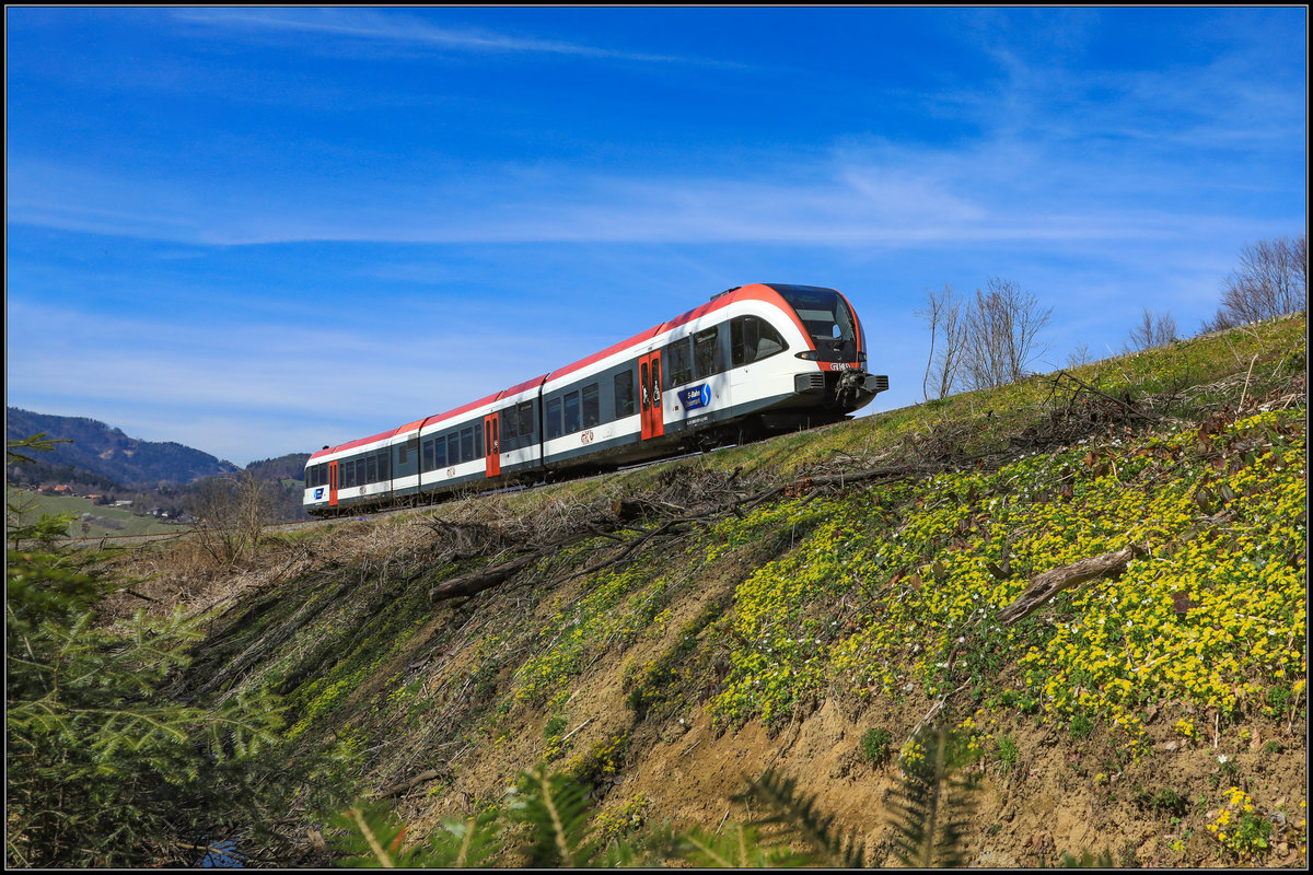 Das Land wird Bunt,.… 
Strahlender Sonnenschein lässt so manches Blümchen erblühen ,... 
22.03.2019
