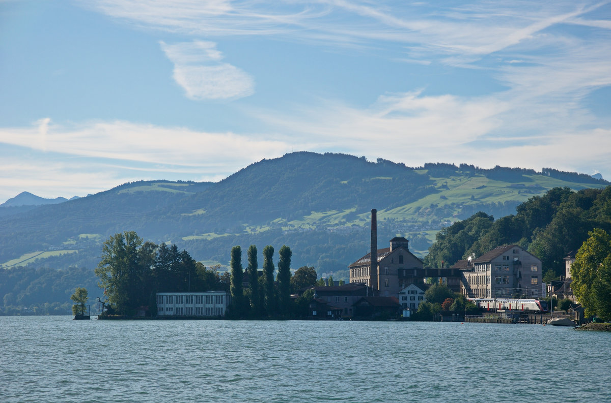 Das linke Zürichseeufer ist zweifelsohne teilweise stark überbaut. Dennoch bieten sich vereinzelt Blickwinkel, aus welchen die Natur dominieren kann. Ein SBB RABe 502 ist am 20.08.2020 bei Wädenswil in Richtung Chur unterwegs und passiert soeben ein altes Fabrikareal, welches Zeuge der früheren Weberei-Industrie ist.