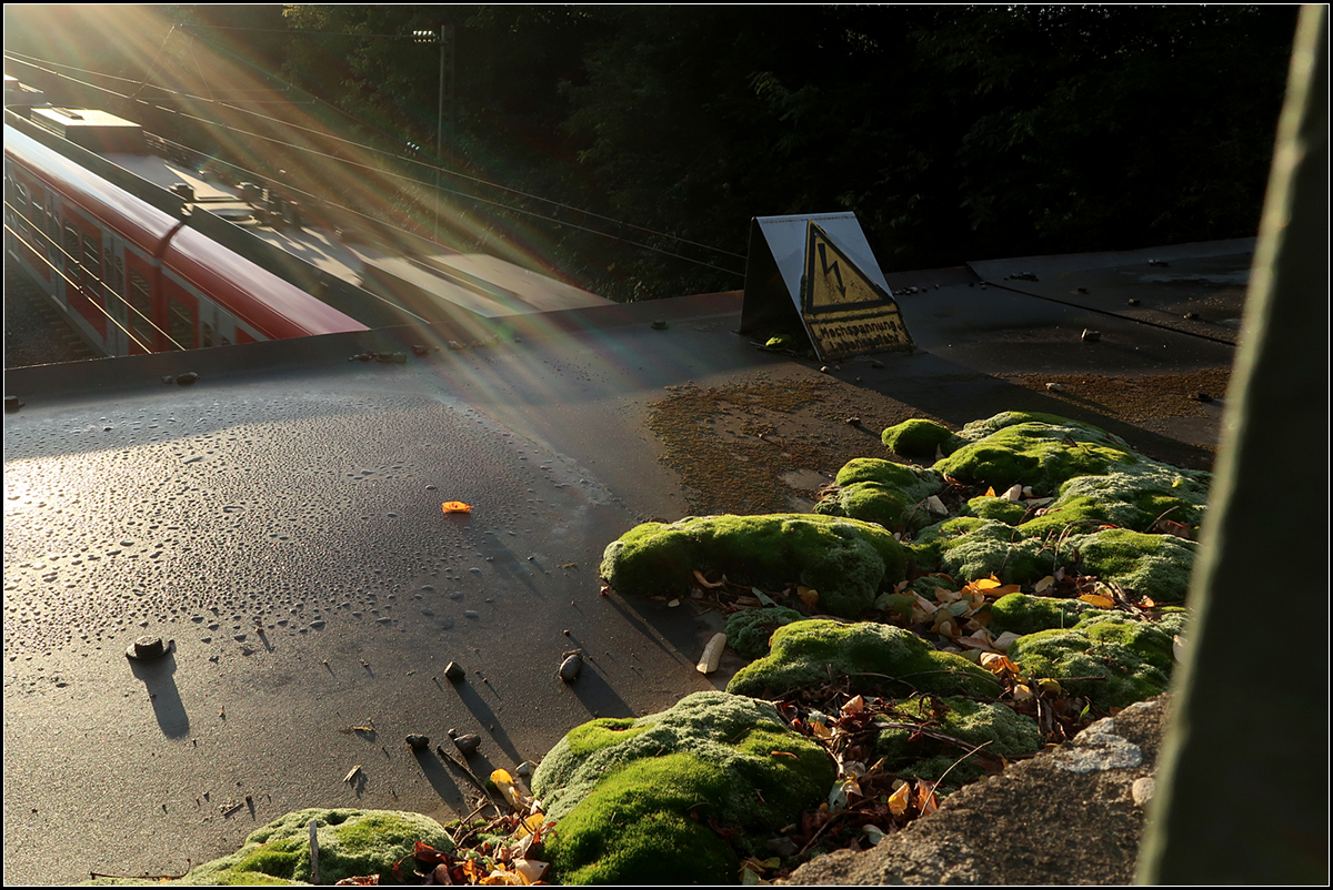 Das Moos über der Bahnstrecke -

--- und die Sonnenstrahlen. Da alle drei Aufnahme ihre Eigenart haben, zeige ich auch alle. Hier sind es die andere Perspektive, die Sonnenstrahlen und die Schraube.

Rommelshausen, 01.10.2019 (M)