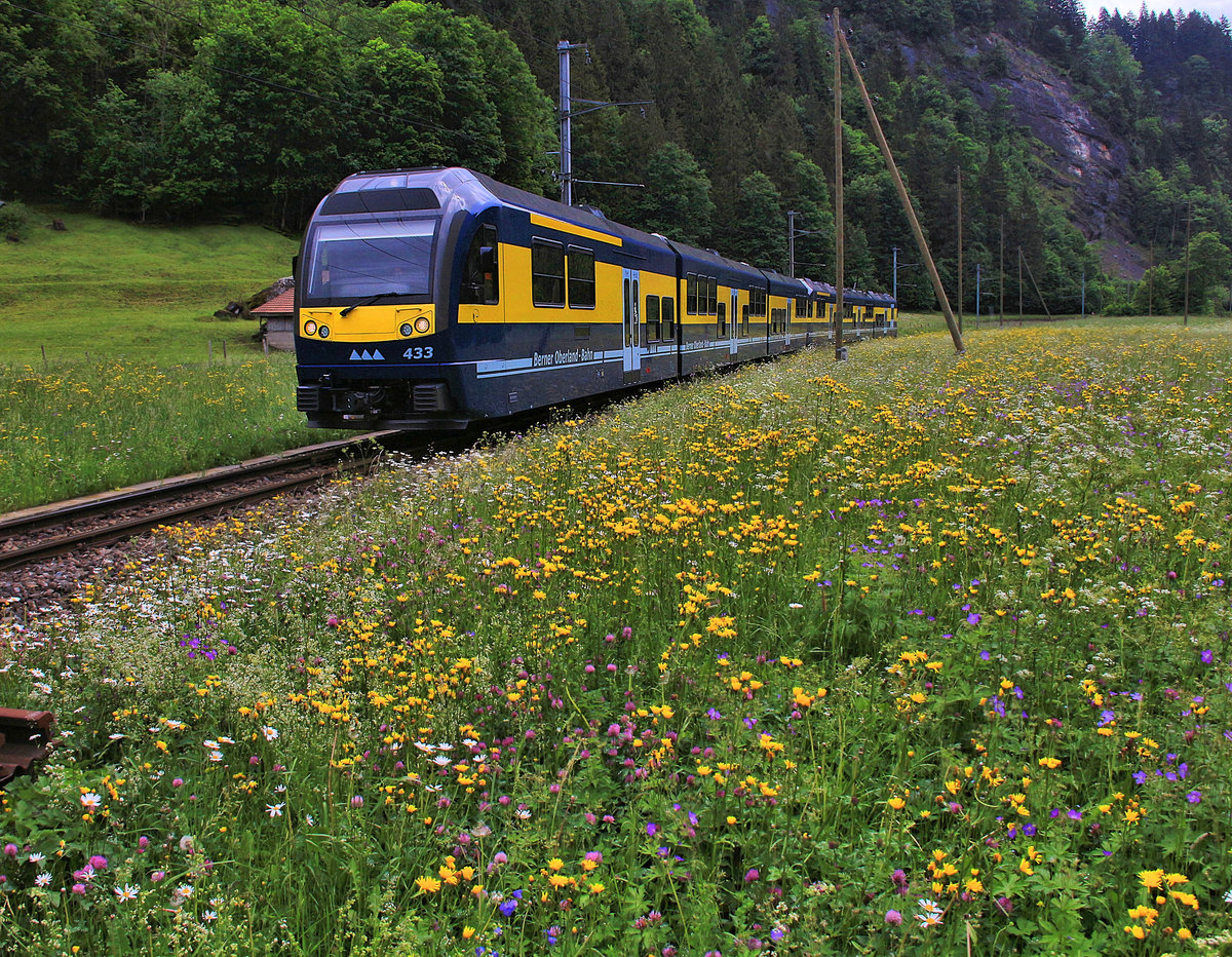 Das neue Rollmaterial der Berner Oberland Bahn: Dreiteiliger Steuerwagen 433 + dreiteiliger Triebwagen 324 zwischen Schwendi und Burglauenen. 29.Mai 2018  
