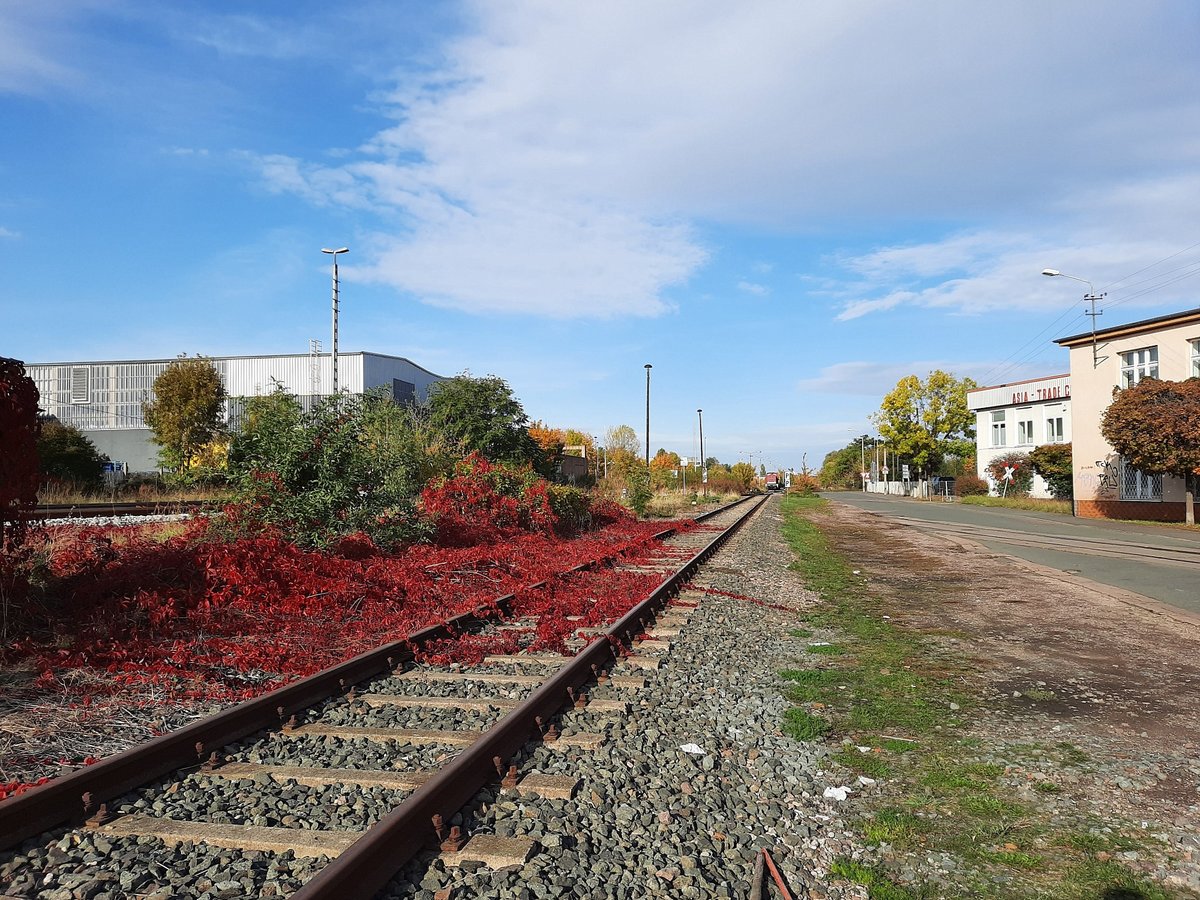 Das nur noch selten genutzte Verbindungsgleis von Erfurt Nord nach Erfurt Ost, am 21.10.2020.