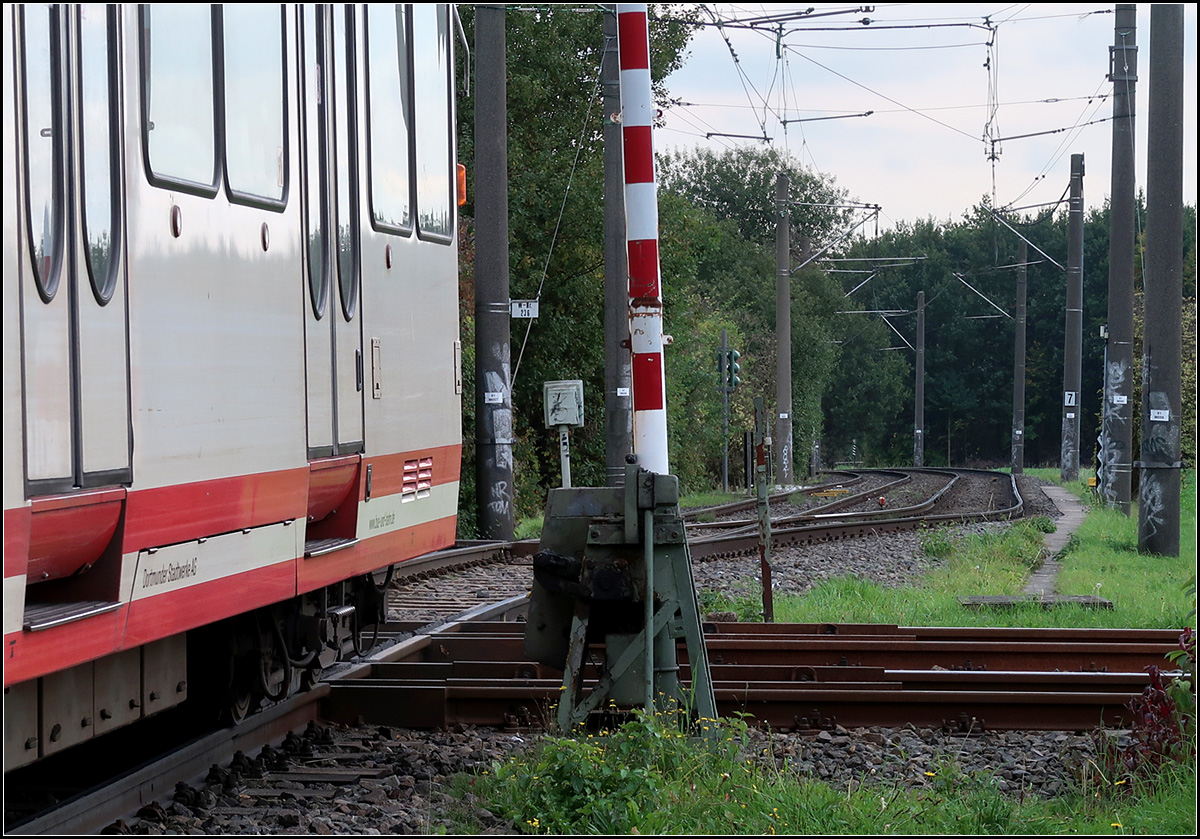 Das Rumpeln ist vorüber - 

Der achtachsige Stadtbahnwagen B auf der U47 hat mit allen Drehgestellen das Gleiskreuz hinter sich gelassen.

Kurz eingleisig ist die Stadbahnstrecke am Bahnübergang über die Güterzugstrecke im Nordwesten von Dortmund. Ein niveaufreier Ausbau ist längerfristig geplant, hat aber wohl keine hohe Priorität. Die Oberleitungsmasten im Hintergrund sind für eine Bildausrichtung wenig hilfreich.

15.10.2019 (M)