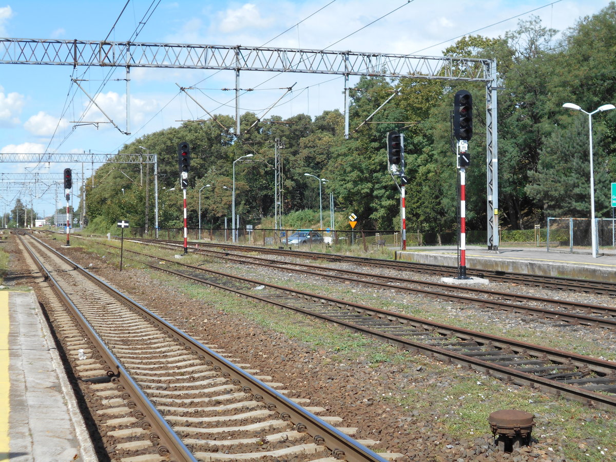 Das sind die Ausfahrsignale von Gryfino Richtung Szczecin am 11.August 2018.
