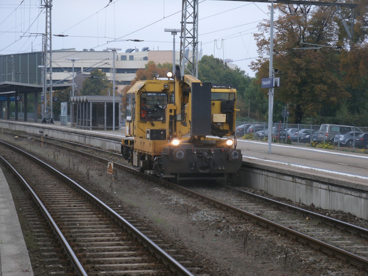Das Stralsunder GAF hatte,am 12.Oktober 2013,eine Schneefrse zur Fahrzeugausstellung an den Stralsunder Bahnsteig gebracht.