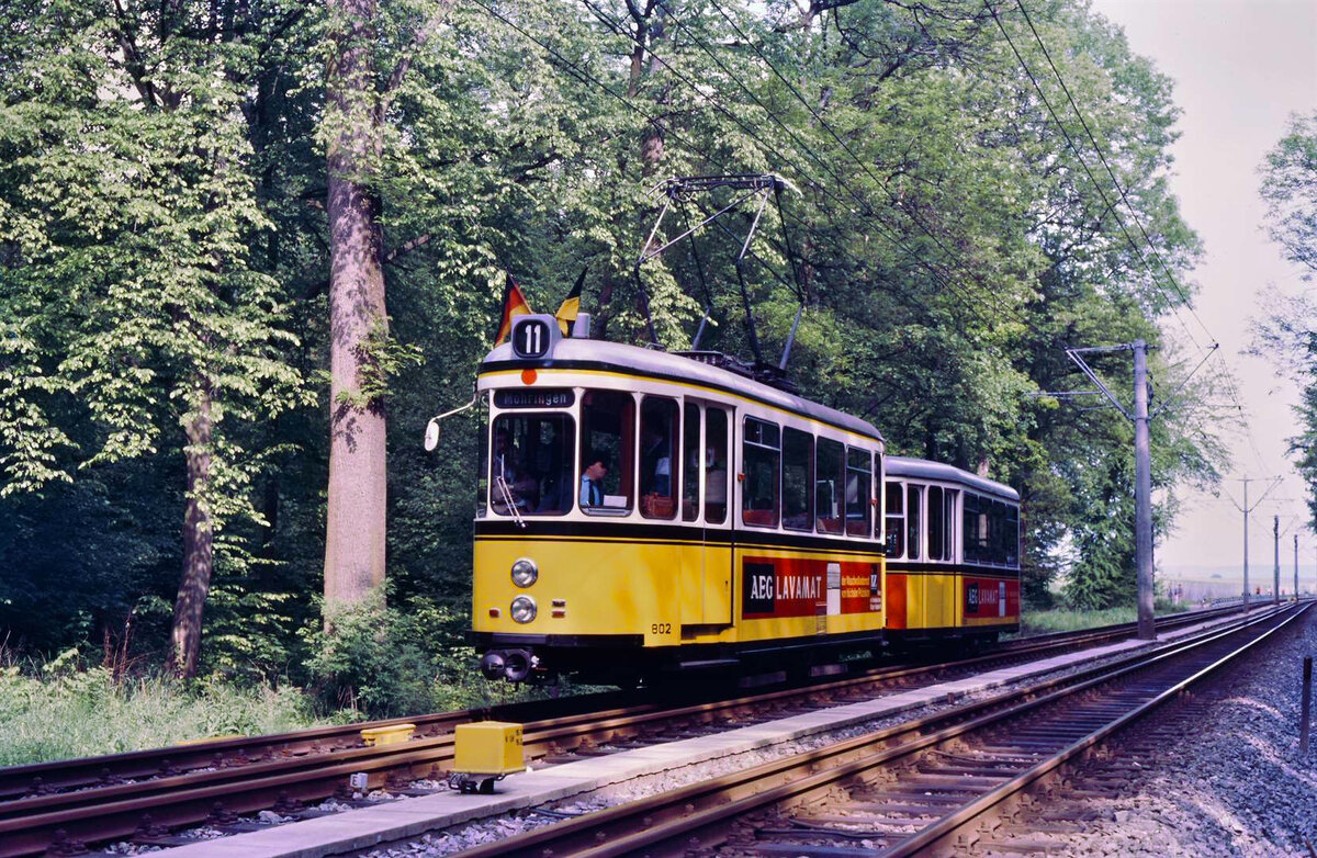 Das Stuttgarter Waldstück zwischen Plieningen und Möhringen zog mich immer wieder an, auch als Mitfahrer der bis 1983 dort noch regulär eingesetzten alten Stuttgarter Fuchs-Beiwagen (Typ B2). Am 31.05.1984 verkehrten sie auf der Stuttgarter Straßenbahnlinie 3 (Plieningen-Möhringen) nur noch als Museumswagen, hier mit TW 802 (MF Esslingen Serie T2). Als ich mit den alten Beiwagen noch bis 1983 mitgefahren bin, war ich dort im Waldstück oft der einzige Fahrgast und ich ließ mich mit Vergnügen durch das Waldstück mit ihnen schaukeln.