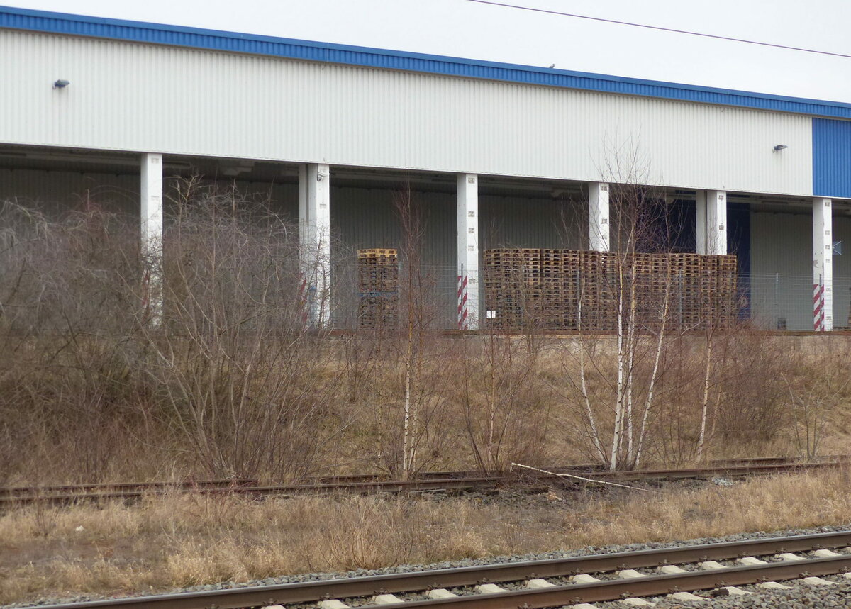 Das teils zugewachsene, ehemalige Anschlussgleis der Oettinger Brauerei, am 04.03.2022 in Gotha.