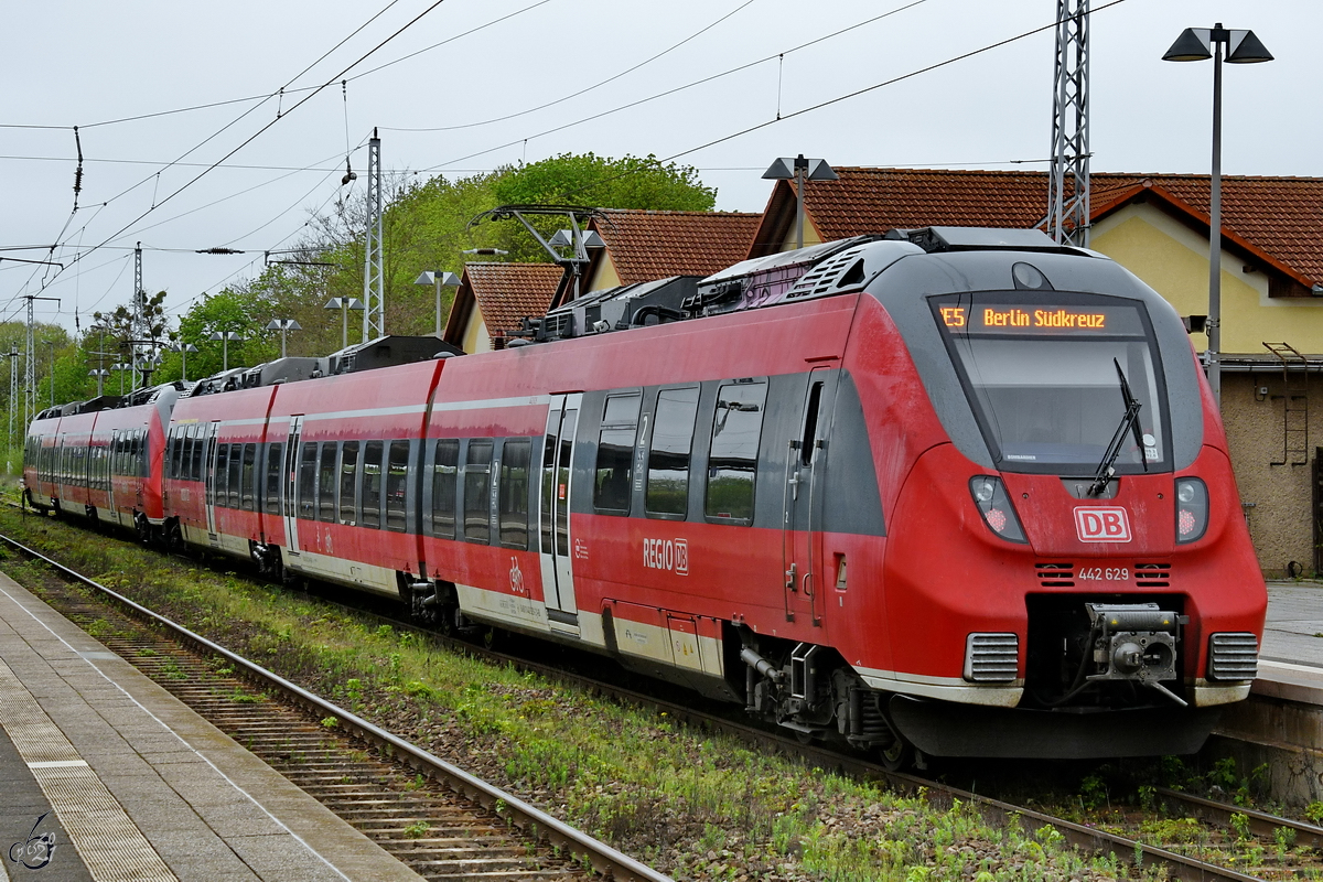 Das Triebzugsduo 442 123 und 442 629 macht sich auf den Weg nach Berlin, so gesehen im Mai 2021 am Hauptbahnhof in Neustrelitz.