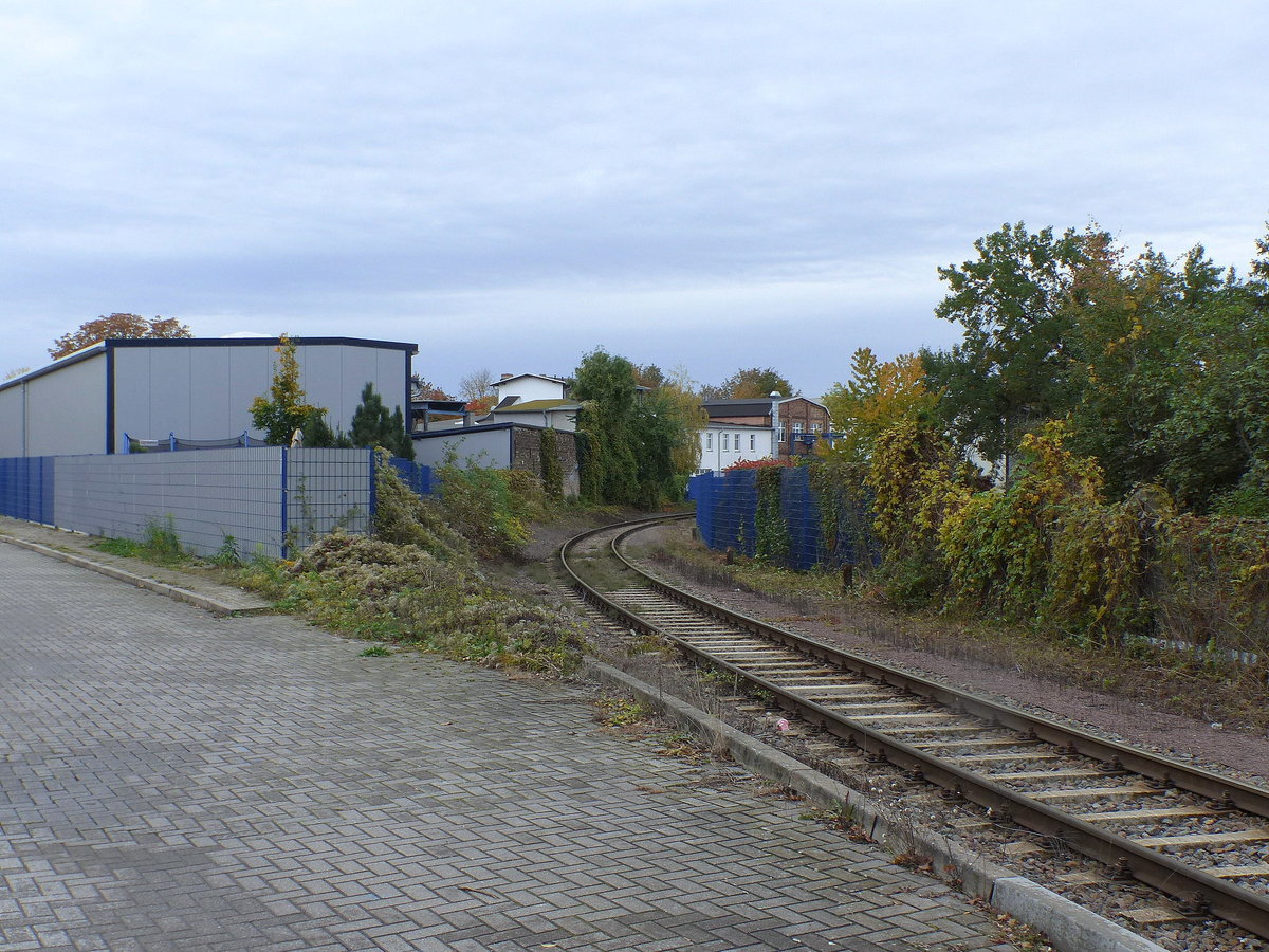 Das Verbindungsgleis von Halle-Trotha zum Saalehafen, am 21.10.2020 in Halle (S).