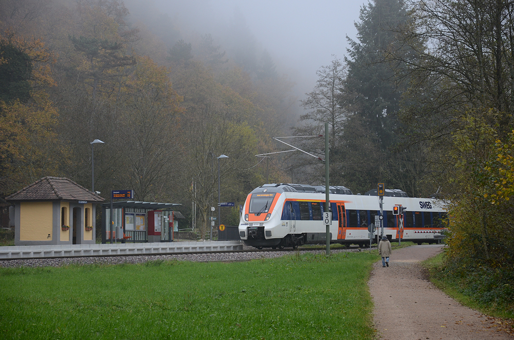 Das Wartehäuschen des Haltepunktes Etzenbach hat was. ET 151 kommt am 24. November 2014 als SWE 72518 nach Bad Krozingen aus Münstertal an.